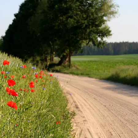 Nad Taltowiskiem Ferienhaus