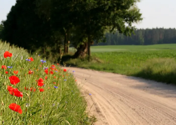 Nad Taltowiskiem Ferienhaus